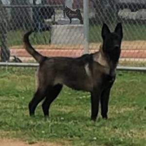 Meet your Posher, Tony